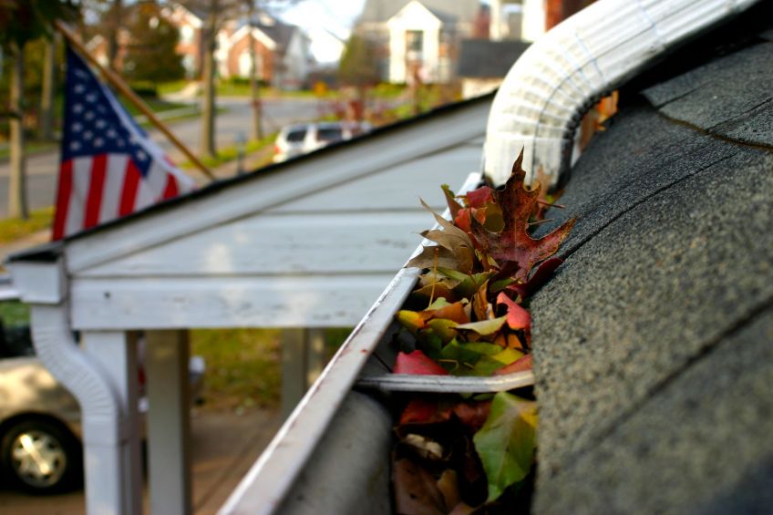 professional gutter cleaning services
