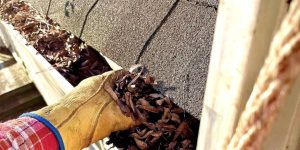 Professional Gutter Cleaning